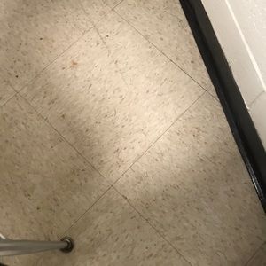 Meet your Posher, Harry